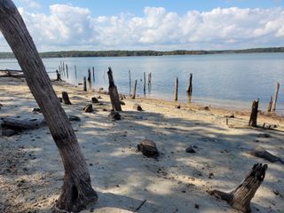 Samsung Galaxy S20 FE review camera samples