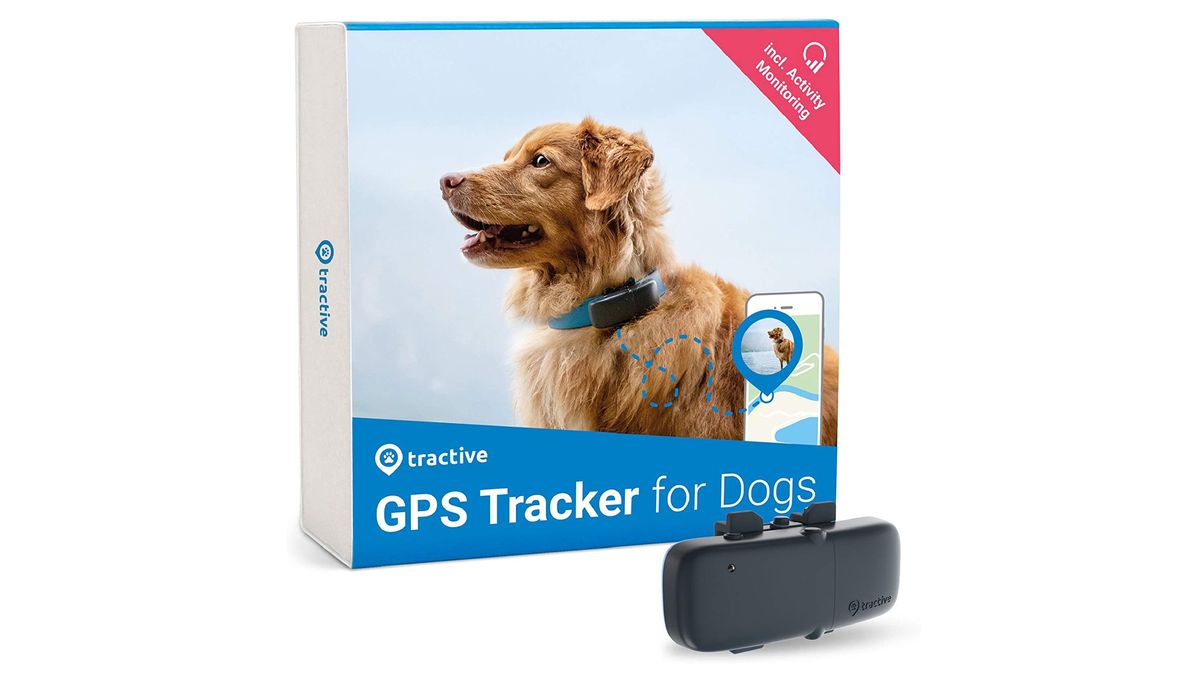 long range gps dog tracker