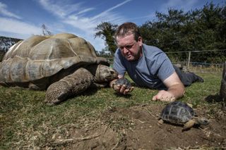 Adrian Graham and his giant Aldabra Tortoises