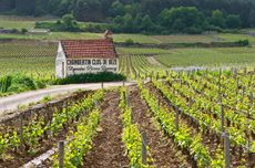 grands crus of Gevrey-Chambertin