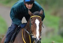 kautostar_cliffbaker.jpg