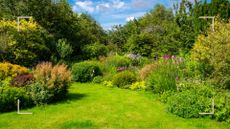 A garden with a lawn and well established borders with pants and trees to support an expert guide on how to level a lawn