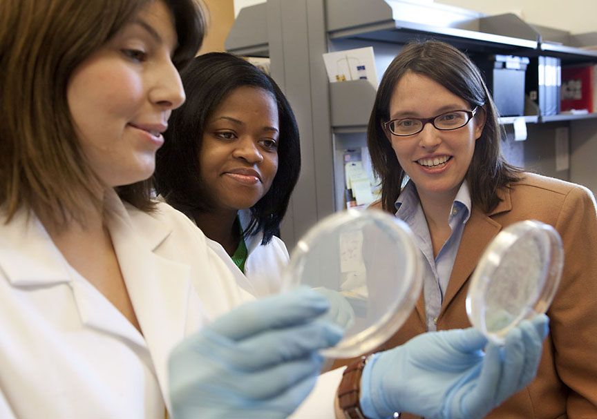 Erica Larschan (on the right) with her graduate students Marcela Soruco, left, and Jessica Chery, study cultures in the lab. 