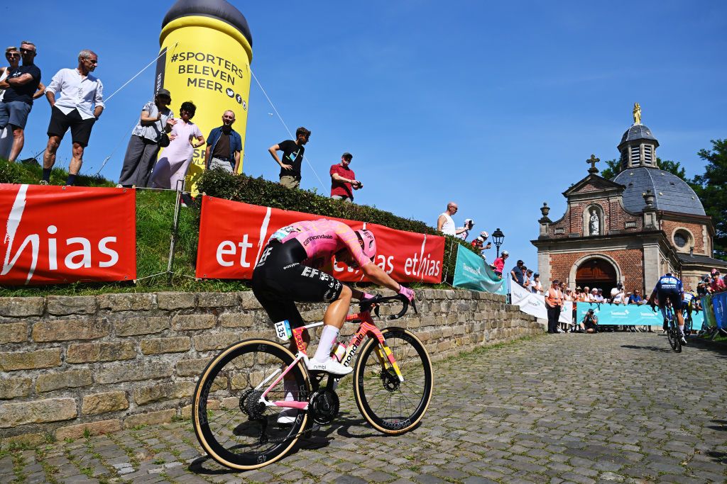 GERAARDSBERGEN BELGIUM SEPTEMBER 01 Jack RootkinGray of The United Kingdom and Team EF Education Easypost competes climbing the Muur van Geraardsbergen while fans cheer during the 20th Renewi Tour 2024 Stage 5 a 2027km stage from Menen to Geraardsbergen UCIWT on September 01 2024 in Geraardsbergen Belgium Photo by Luc ClaessenGetty Images