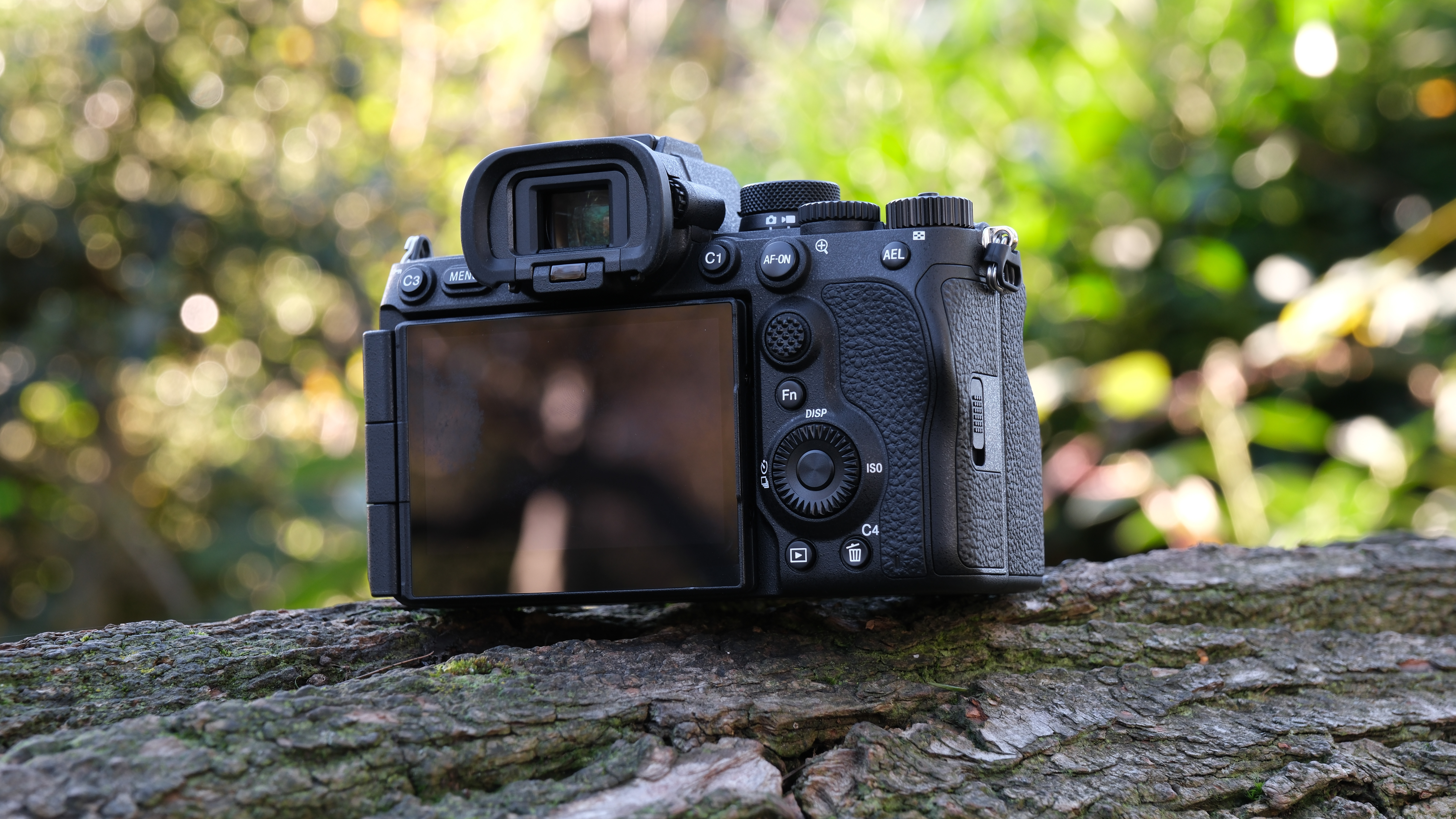 Sony A7 V camera from behind, on a tree branch