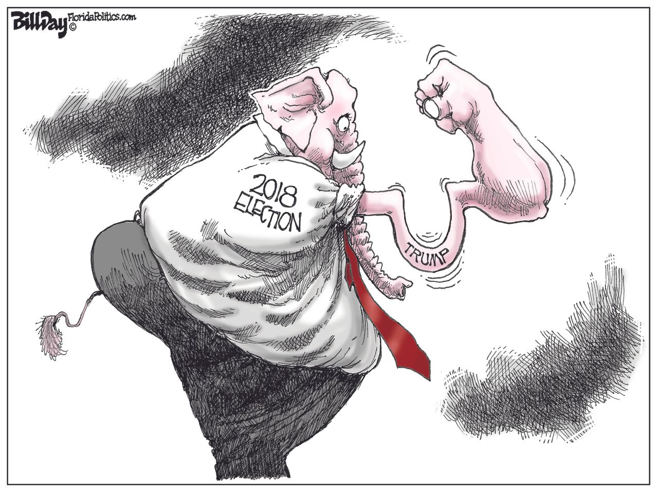 Political cartoon U.S. Trump 2018 midterms GOP