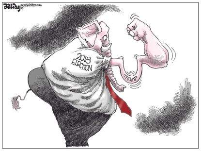 Political cartoon U.S. Trump 2018 midterms GOP