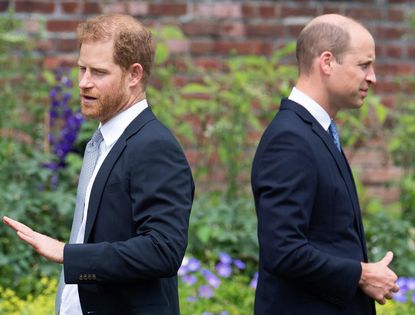 Prince Harry, Duke of Sussex and Prince William, Duke of Cambridge attend the unveiling of a statue of their mother, Princess Diana