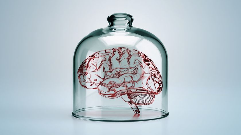 an illustration of a brain in a jar