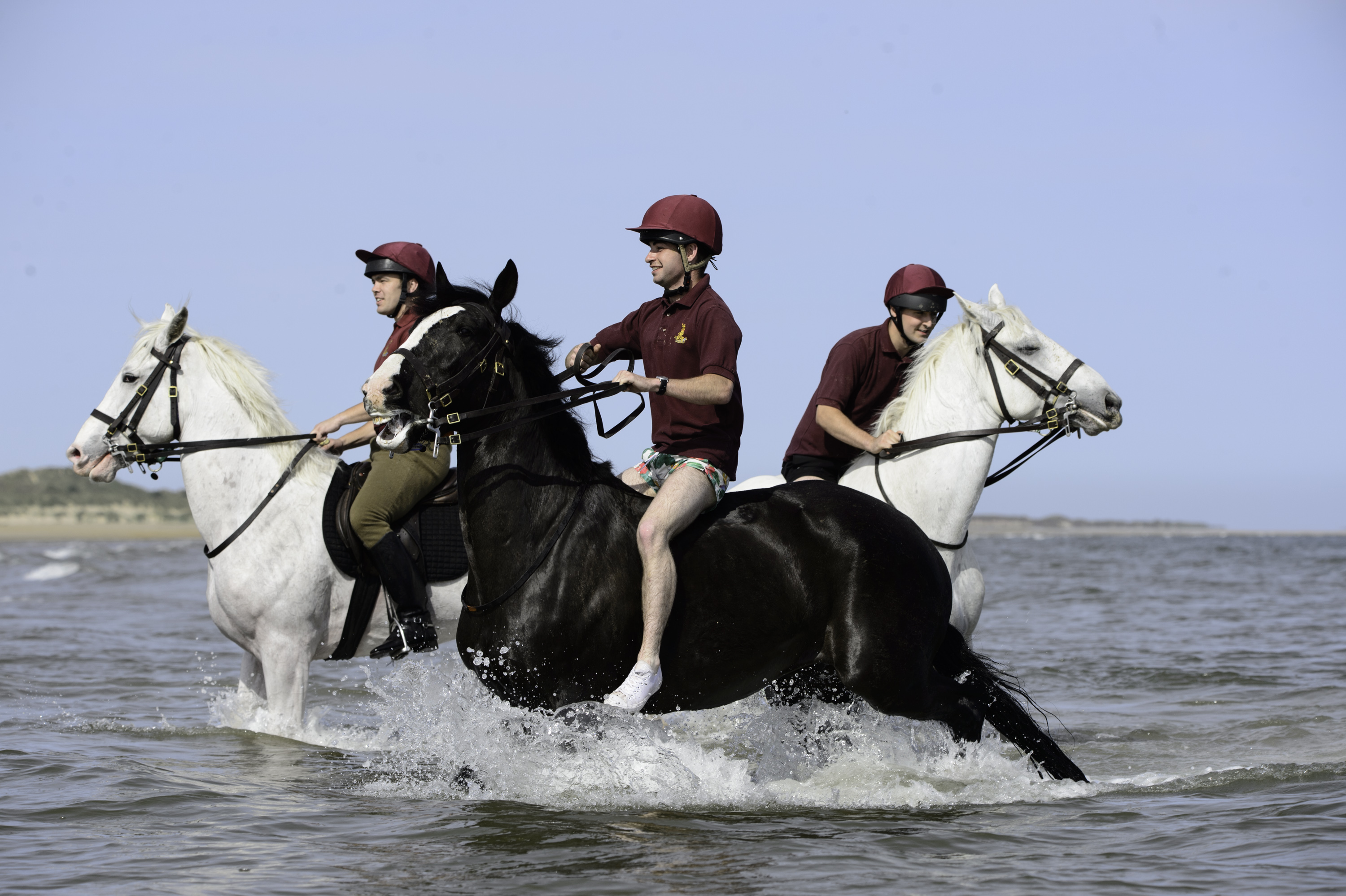 Getting the horses from London to Bodney Camp in Thetford, Norfolk is a logistical operation in itself — uprooting 133 horses and 250 men, plus their kit