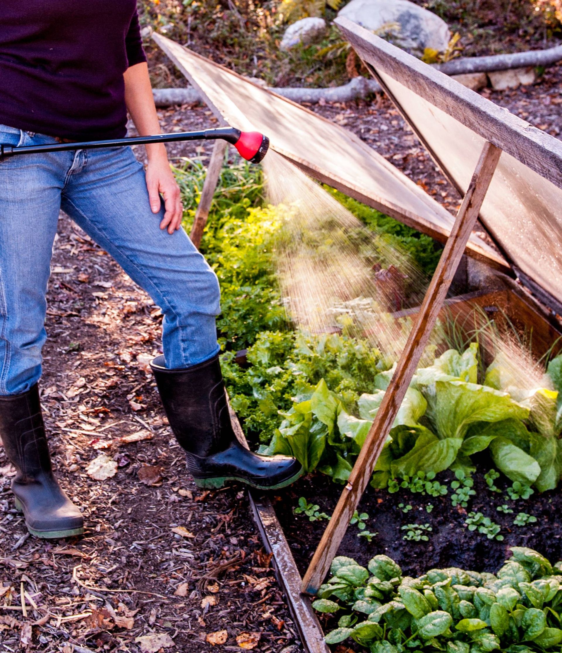 How to Make a DIY Cold Frame, Step by Step | Gardening Know How