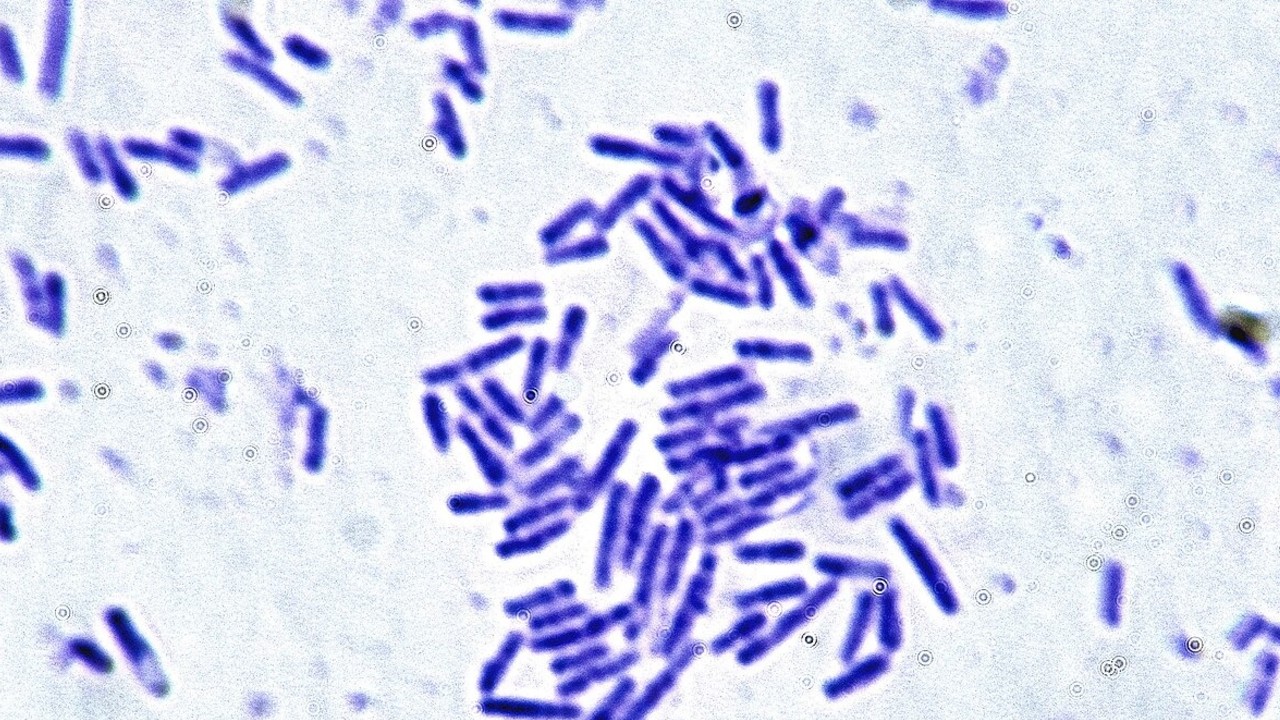 blue squiggly lines on a grey background