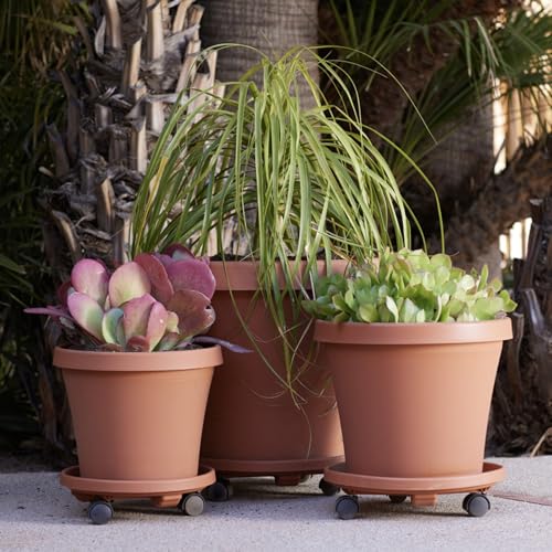 Bloem 14" Plastic Plant Caddy With Wheels, 100 Lb Capacity, Terra Cotta