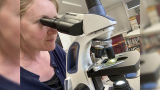 Teacher using the Swift SW380T microscope to observe cells
