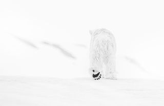 78 degrees North – ©David Yarrow