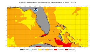 A map of Florida shows the level of warning for coral bleaching along the state's coast.