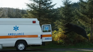 The bear jumping into an ambulance in Cocaine Bear.