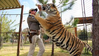 Joe Exotic feeds a tiger from a bottle.