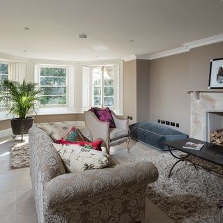 living room with potted plant fireplace and sofa
