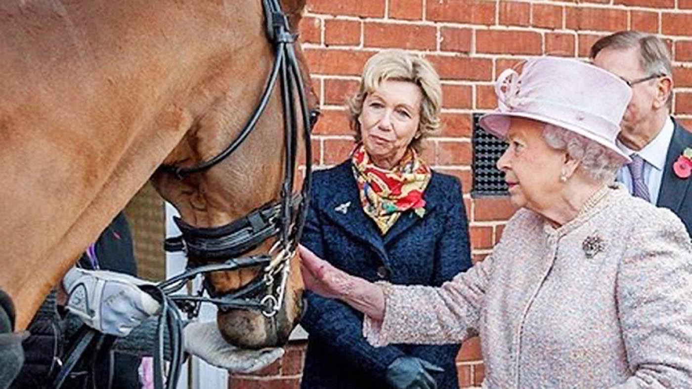 Quad-and-Queen.jpg