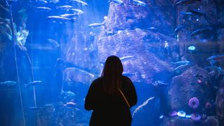 Woman staring into aquarium