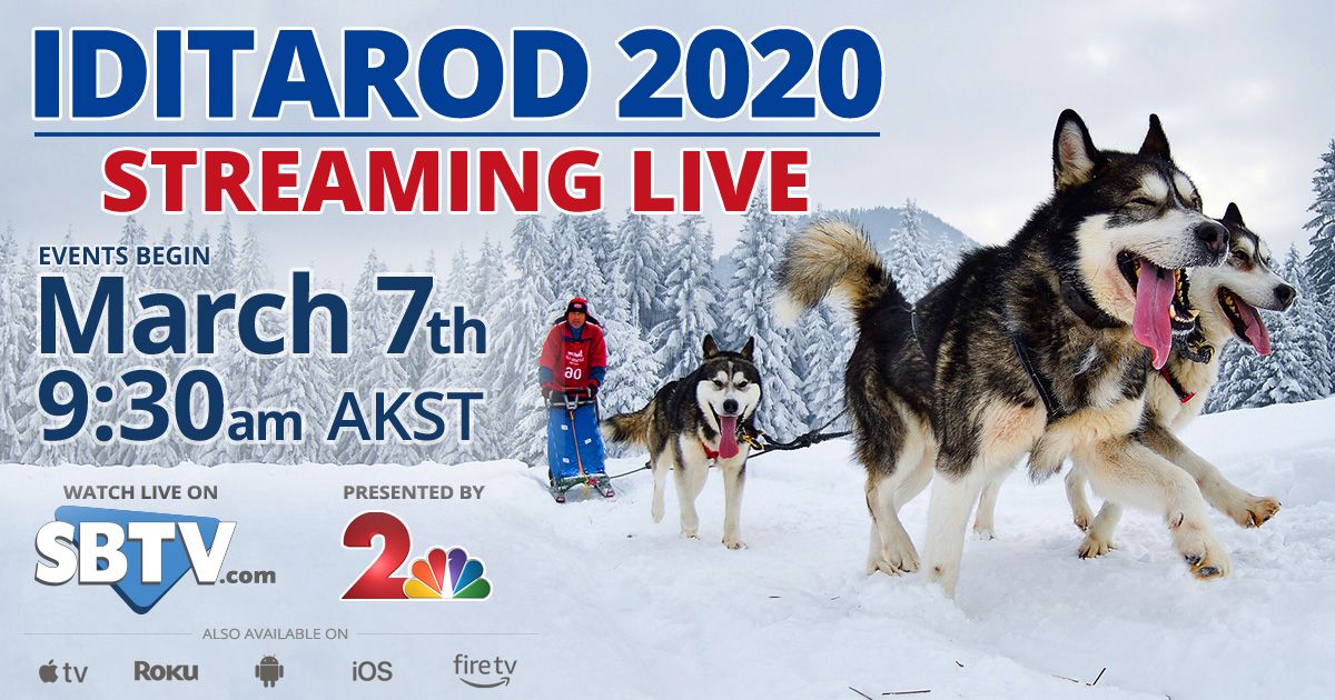 SBTV to Stream Iditarod Dog Race Next TV