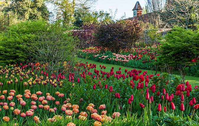 Pashley Manor Tulip Festival - John Glover / Alamy Stock Photo