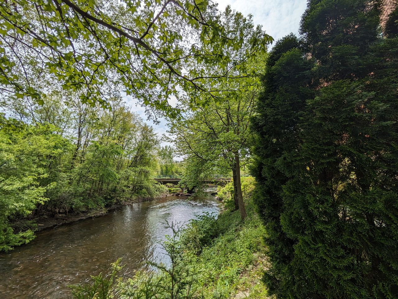 Google Pixel 7a image samples from camera