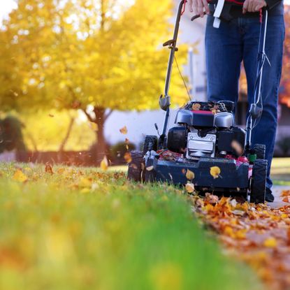 Mowing the lawn in fall