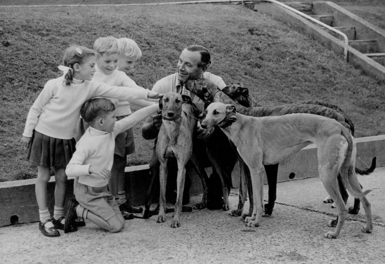 Black and white photo of four young children &mdash; the six-year-old Taylor quadruplets &mdash; meeting four greyhounds, with their trainer Mr. Leslie Reynolds crouched behind the dogs. The children are petting the dogs, smiling, and interacting with them outdoors at Wembley Stadium.