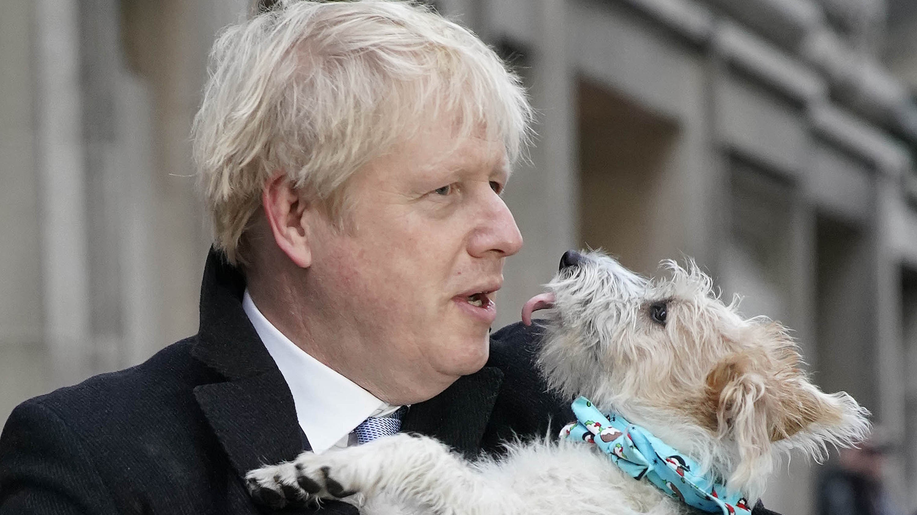 boris_kissing_a_dog.jpg