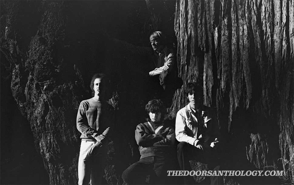 The Doors posing next to a large tree