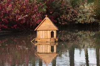 Bird house on a lake