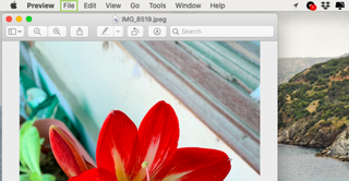 How to compress a JPEG on macOS using Preview