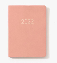 Chicago Avenue 2021-2022 Dusty Rose Medium Planner: $
