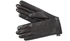 Carrots-Leather-Show-Gloves-.jpg