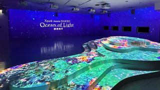 The new marine life/digital art exhibit powered by Christie. 