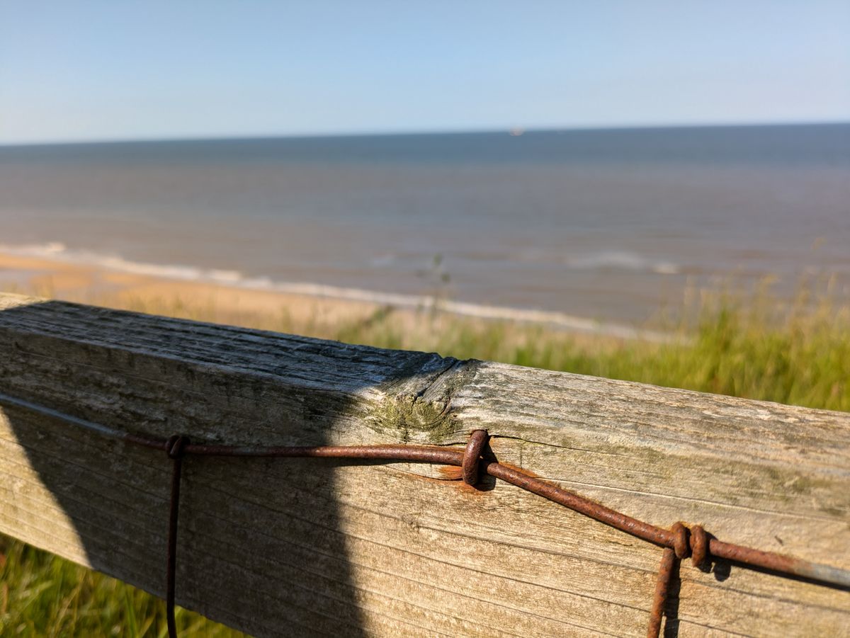 A photo taken on the Google Pixel 8a