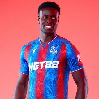 Macron Crystal Palace 2024/25 home kit