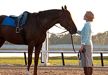 Secretariat_Pic17.jpg