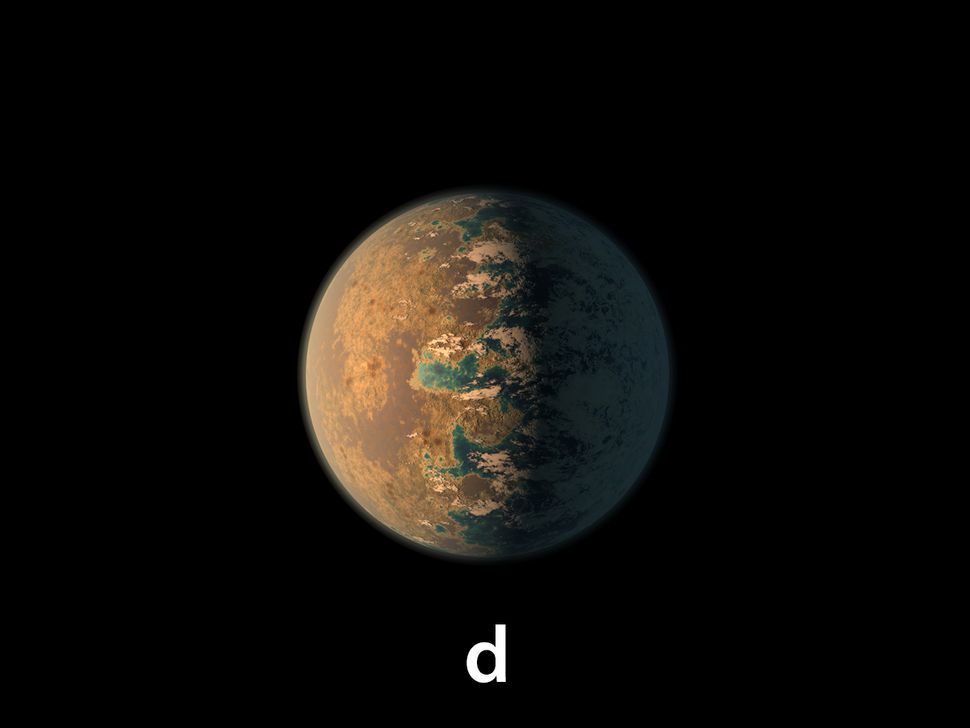 Земля 7 букв. Планета Траппист 1 е. Trappist-1 d Планета. Траппист 1д. Звездной системе Trappist-1.