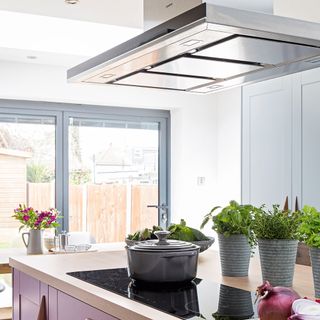 kitchen with white wall white counter chimney and plants