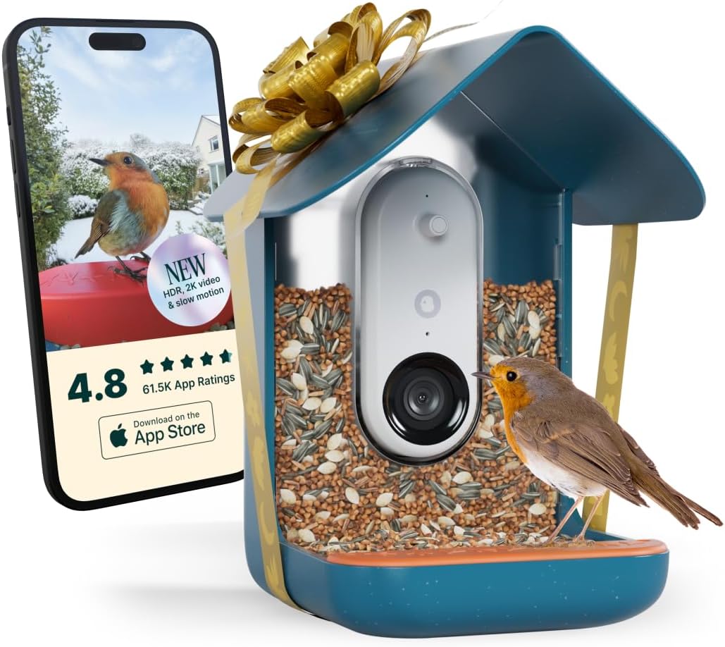 Birdbuddy Non Solar Smart Bird Feeder With Camera - Ai Bird Species Identification, 5mp Photos, 2k Hd Video Live Stream Camera, Battery-Powered Charging, 2.8in Focus - Blue