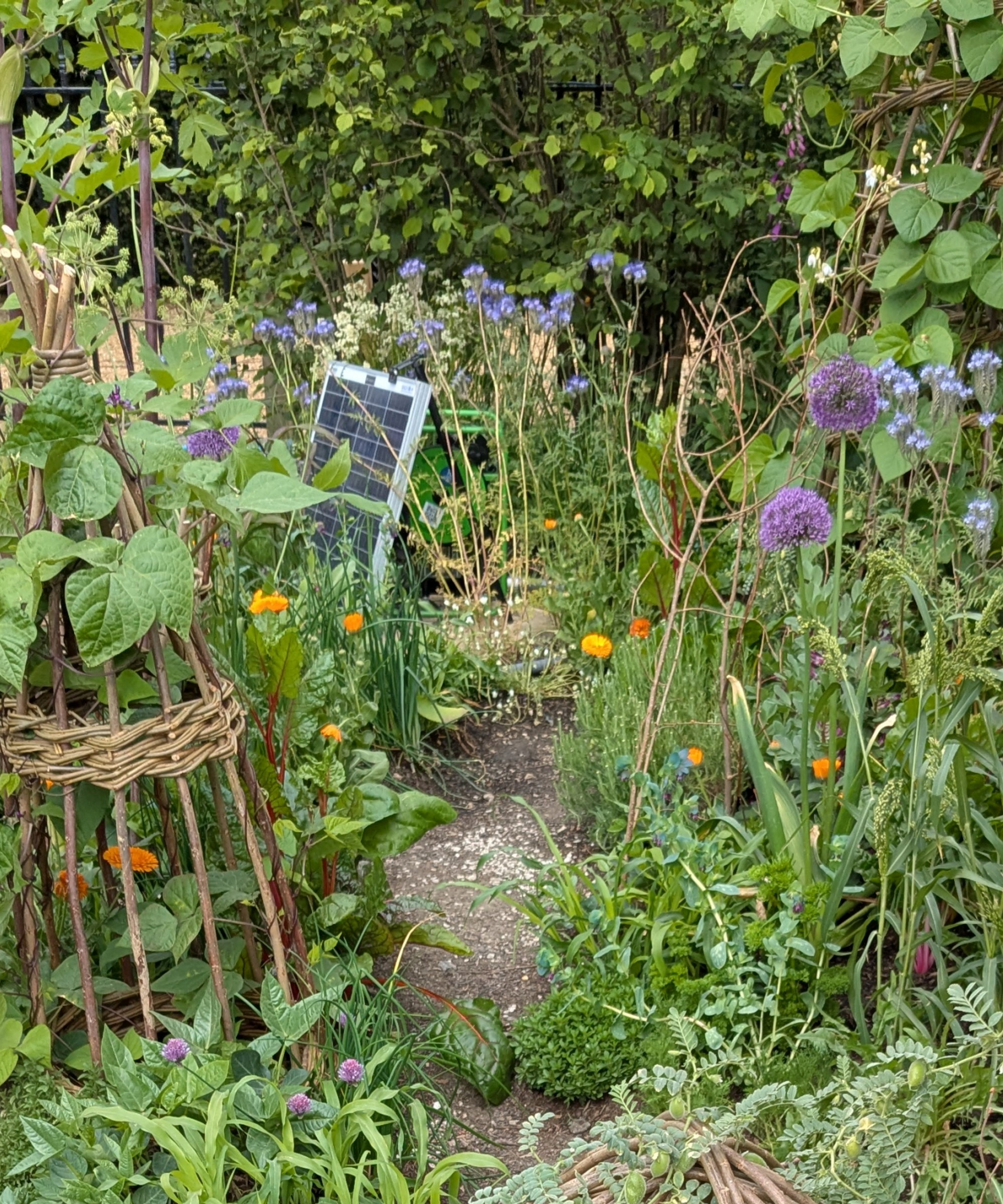 The Garden of the Future at the RHS Chelsea Flower Show