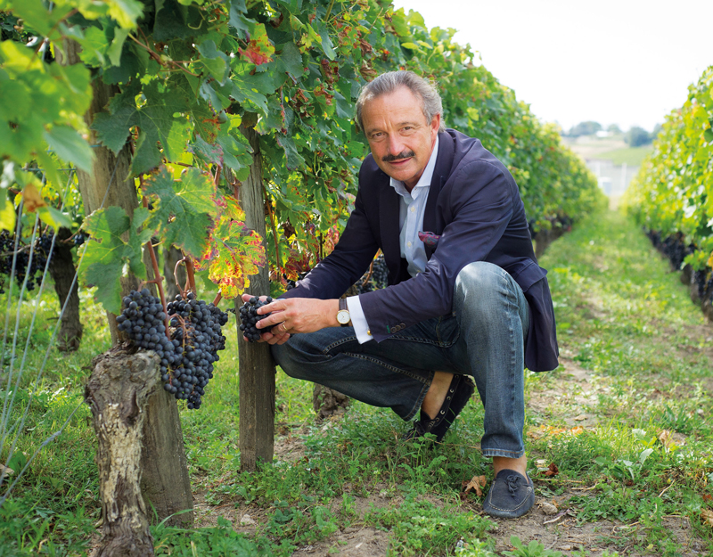 Stephan von Neipperg