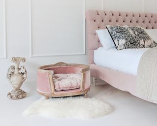 Decadent, glam boudoir with coordinating blush bed and velvet pet bed, and white faux fur on floor.