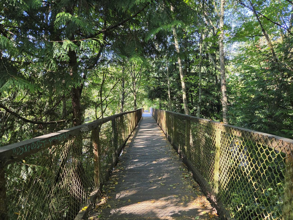 A walking bridge