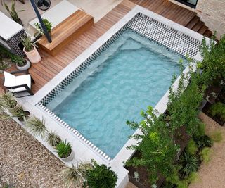 plunge pool with patterned tiles and surrounding potted plants