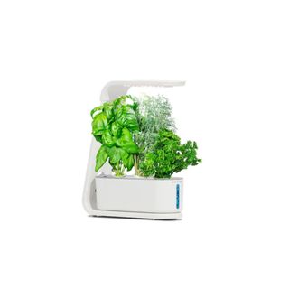 Sprout with Gourmet Herbs Seed Pod Kit