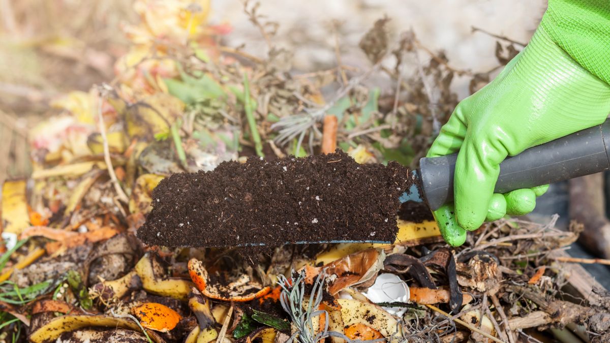 Compost heap